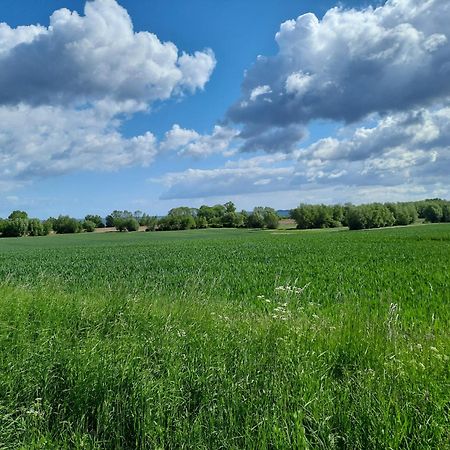 Pension Landidylle Wohlenhagen ภายนอก รูปภาพ