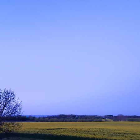 Pension Landidylle Wohlenhagen ภายนอก รูปภาพ