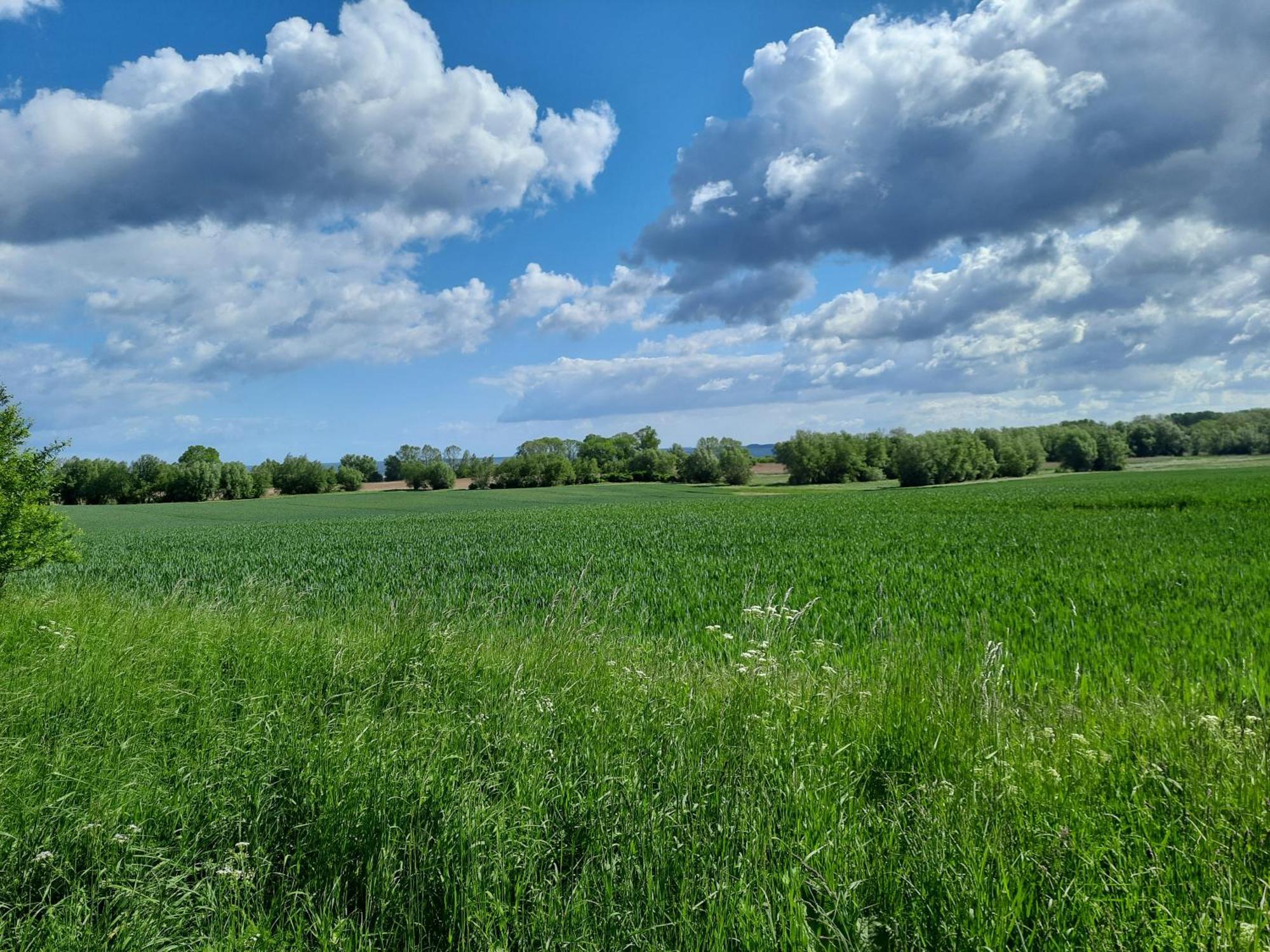 Pension Landidylle Wohlenhagen ภายนอก รูปภาพ