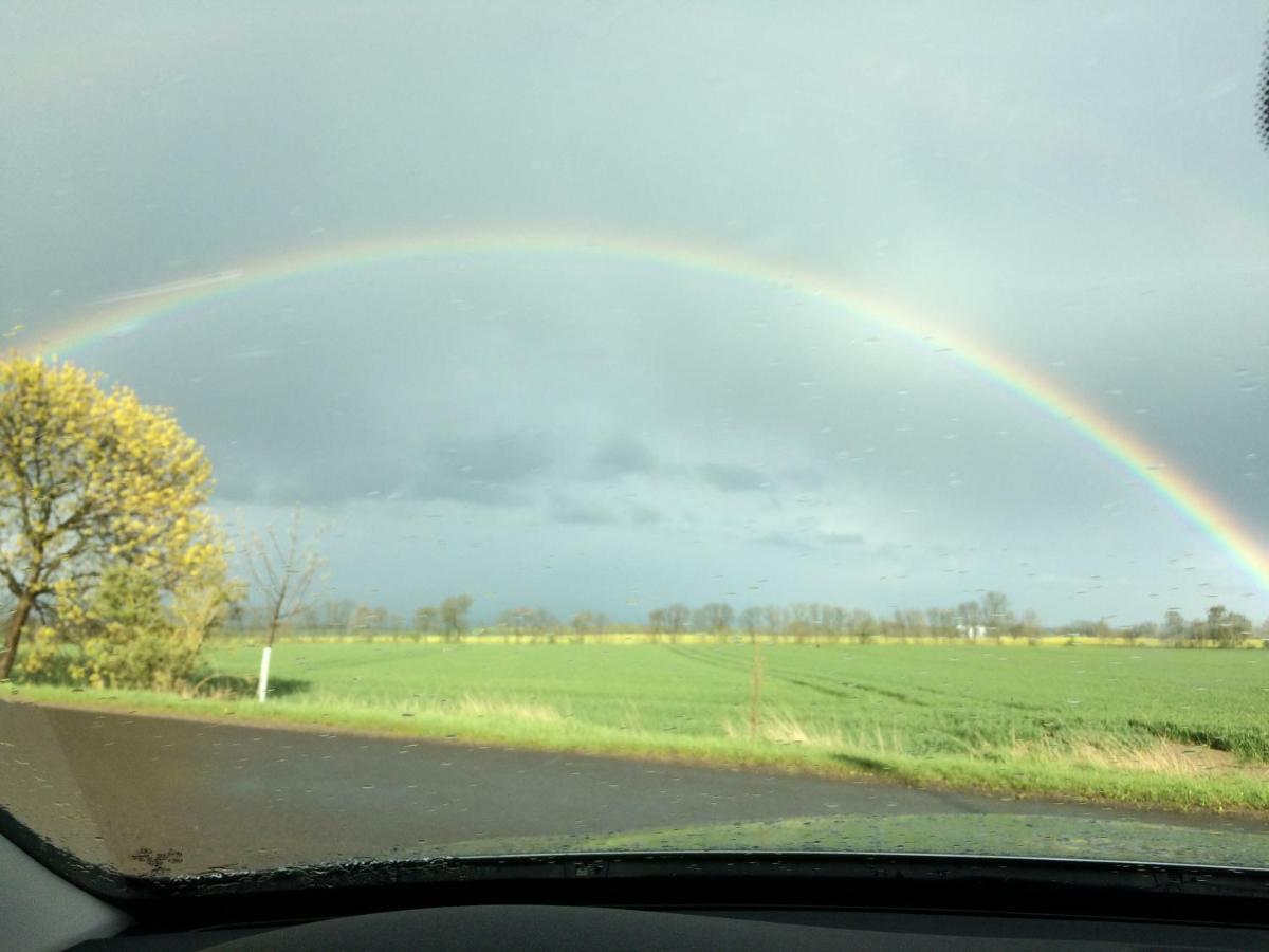 Pension Landidylle Wohlenhagen ภายนอก รูปภาพ