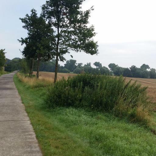 Pension Landidylle Wohlenhagen ภายนอก รูปภาพ