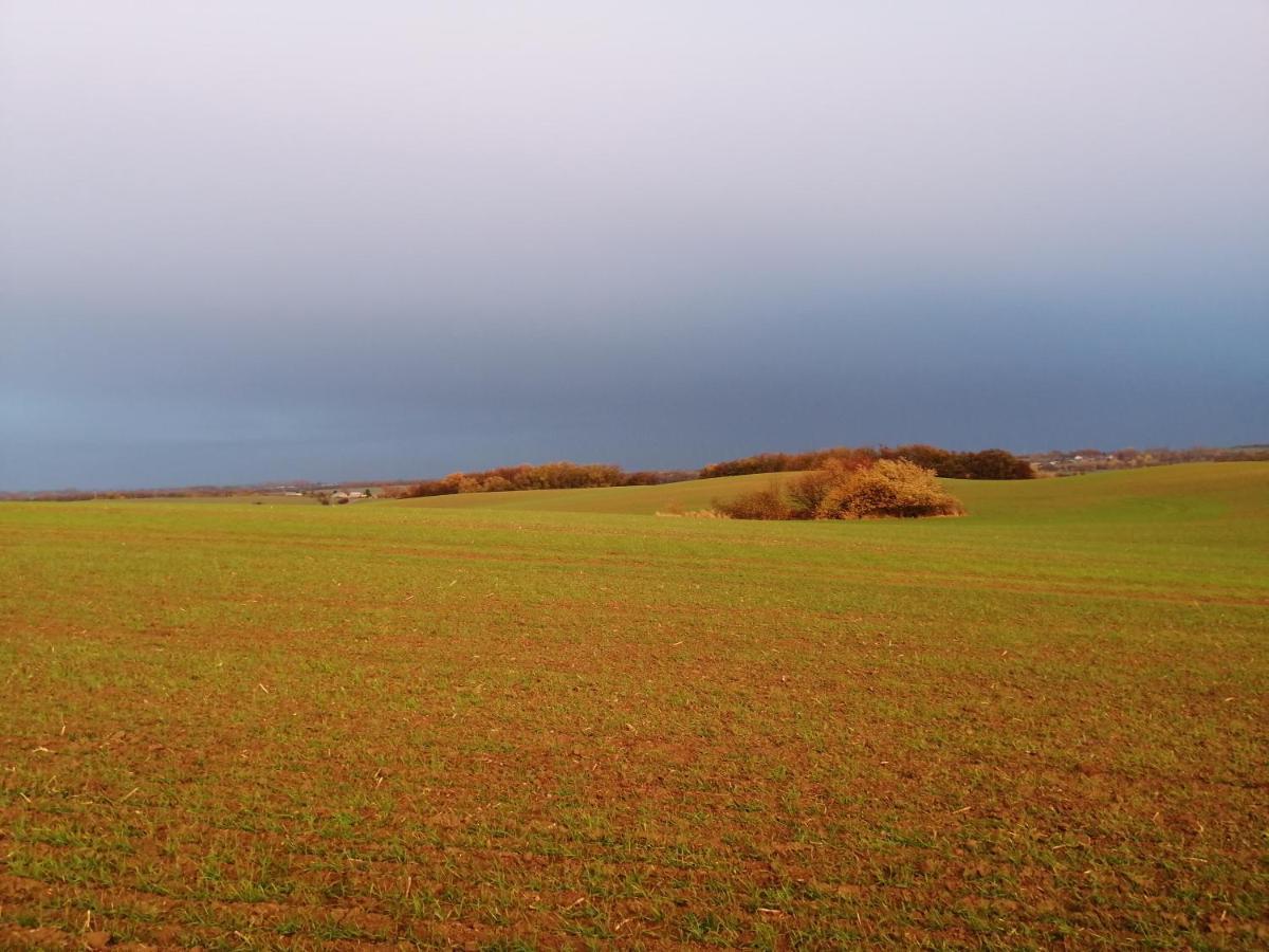 Pension Landidylle Wohlenhagen ภายนอก รูปภาพ